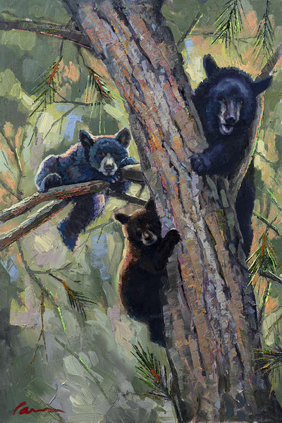 Bear Paintings