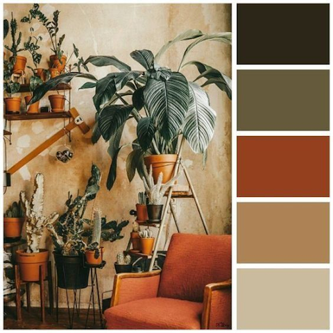 Select The Color Palette