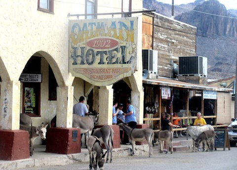 The Historic Oatman Hotel