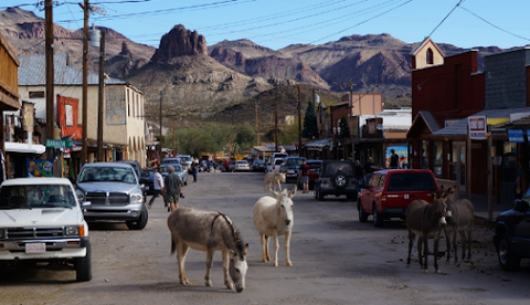 Things to do in Oatman, AZ