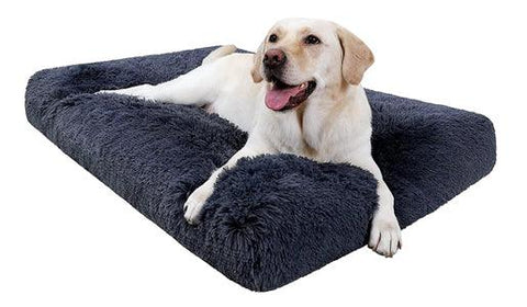 Golden Retrievers with Joint Pain on Human Size Donut Cuddler Dog Bed