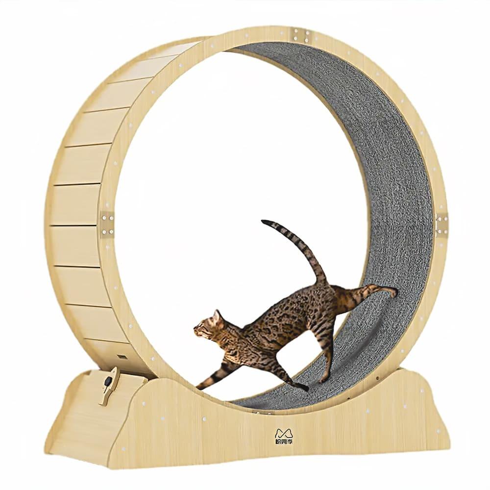 One Fast Cat Exercise Wheel: Revolutionizing Feline Fitness