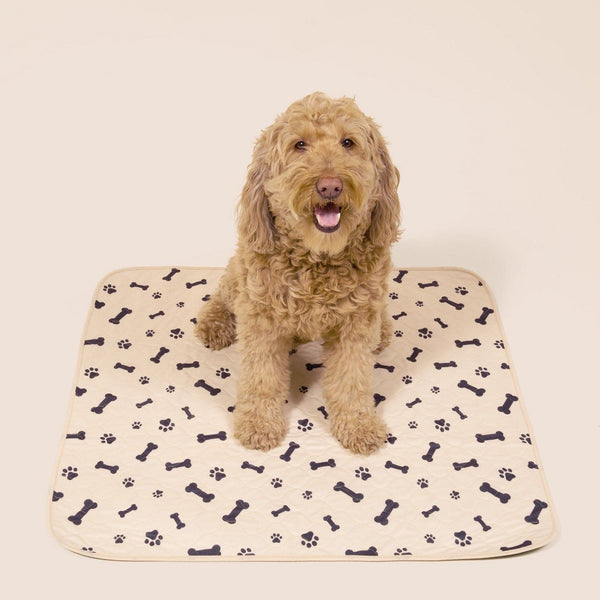 Best pooch pads for dogs designed for every dog size and household. Eco-friendly, absorbent, and perfect for indoor use on Mamzoo Pet Pee Pads Store!