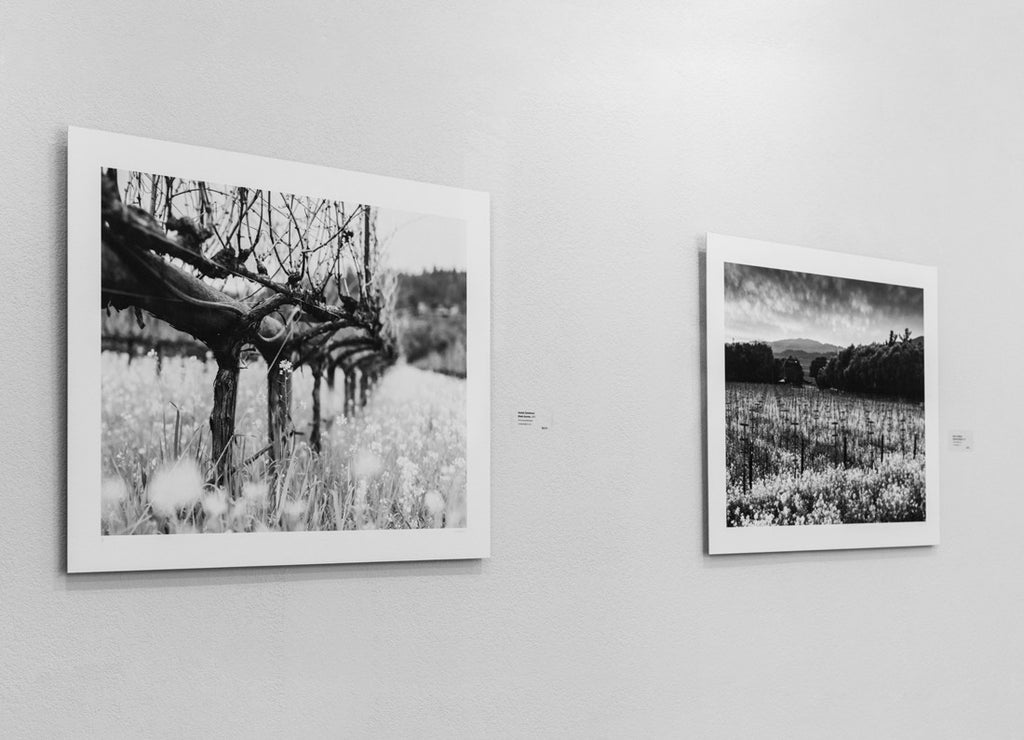 Rutherford Ranch Winery Photograph, on wall