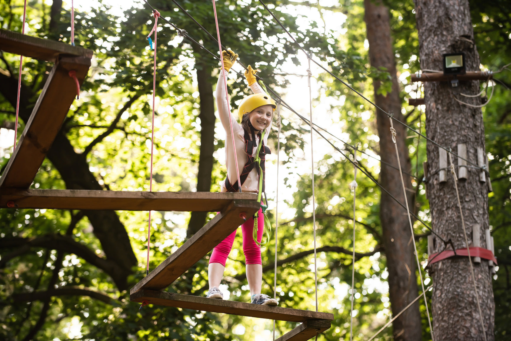 kids climbing through trees at a summer activity centre.