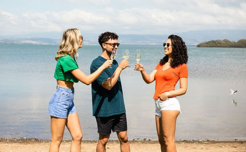 people clinking wine at the beach