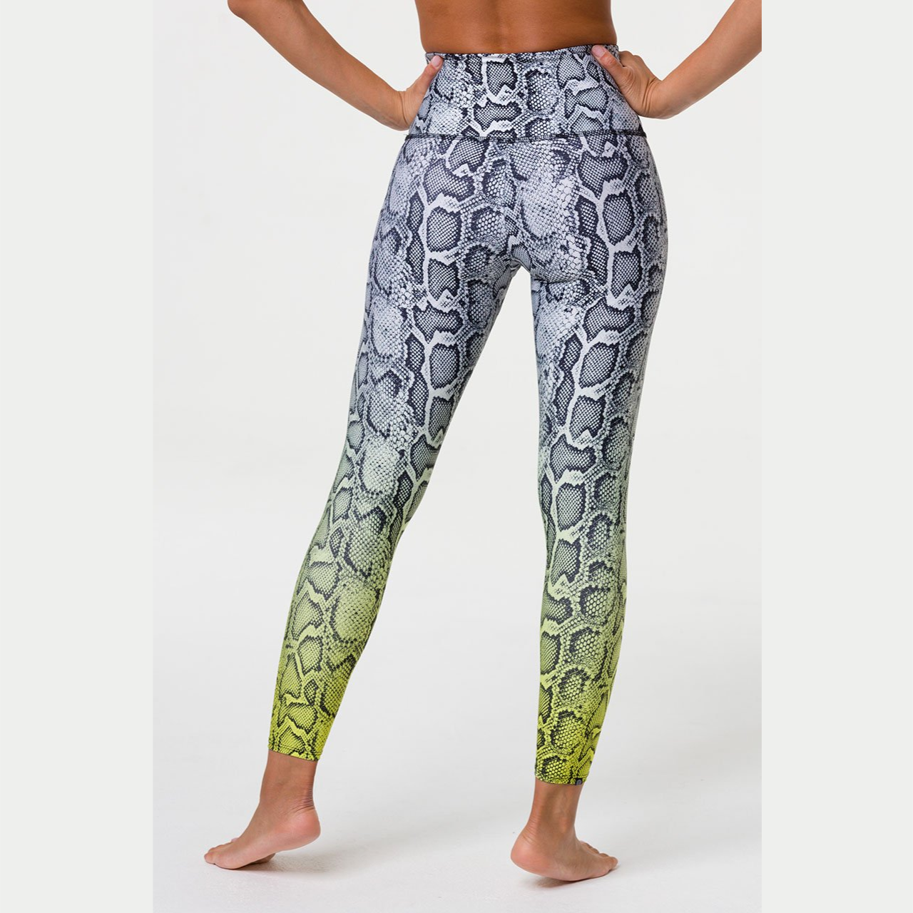 onzie high rise legging