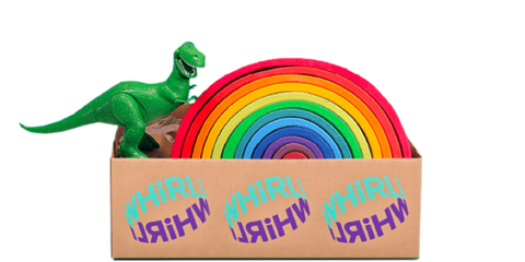 Whirli Box and Dinosaur and Rainbow Toy