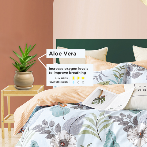3 plants that will help you sleep better aloe vera
