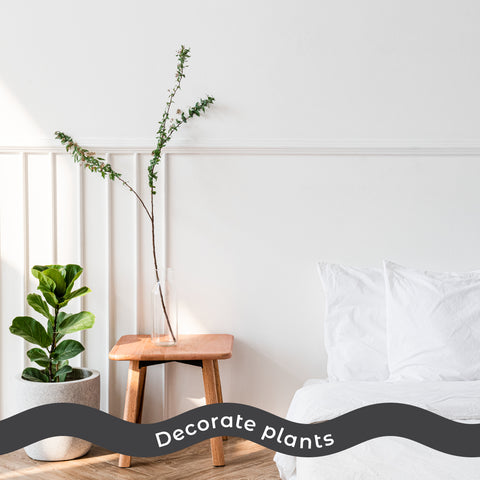 5 steps to a relaxing bedroom plants