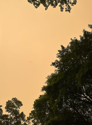 Orange sky and bright orange sun in NJ from the Canadian wildfires.