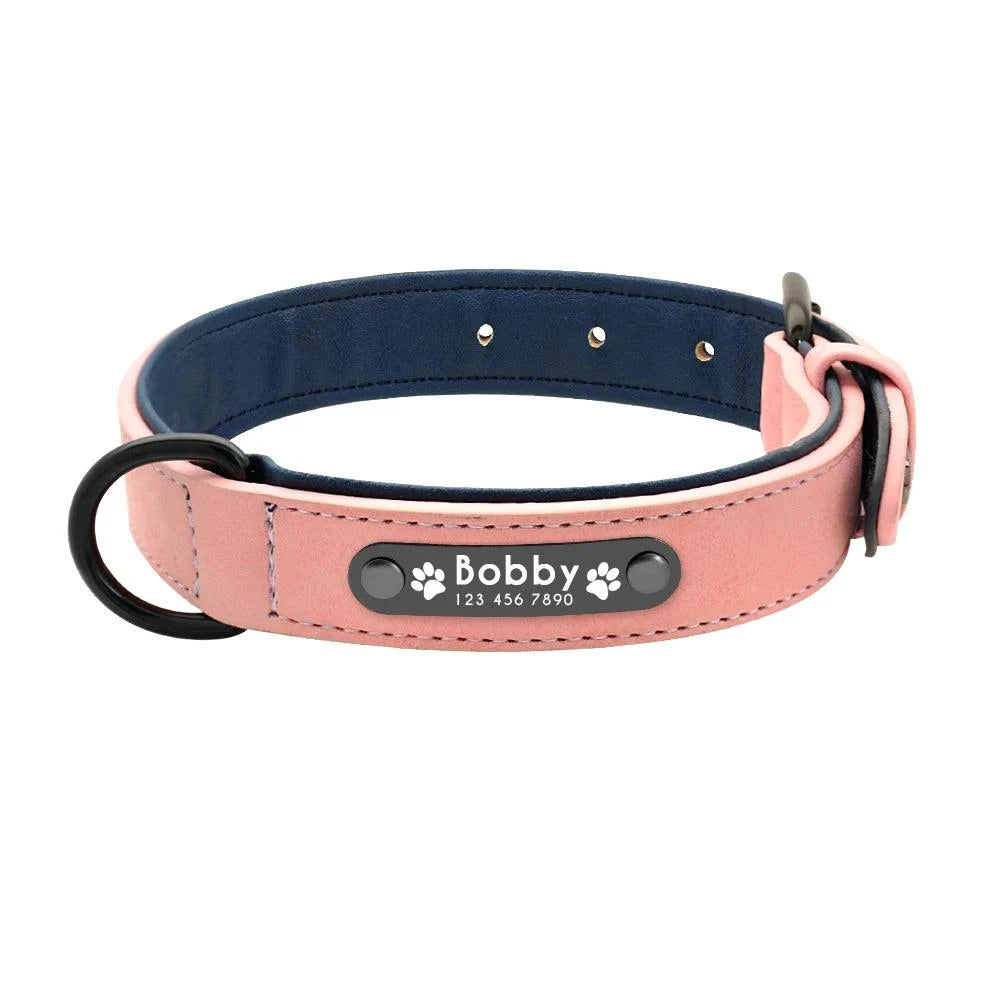 Personalized Leather Dog Collar with ID Tags
