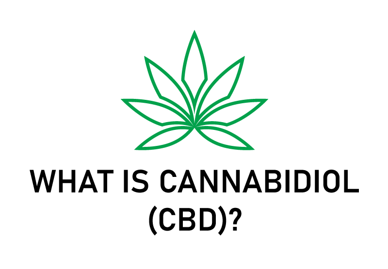 What is CBD Oil?