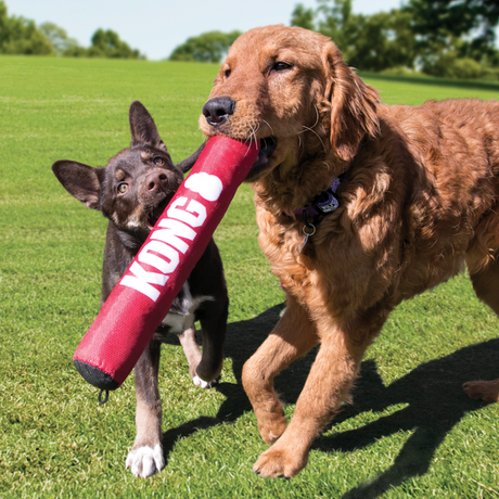 Kong dummy dog sale toy
