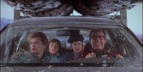 The Griswolds from Christmas Vacation sitting in a car with a large tree on the roof.