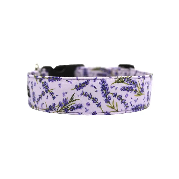 Purple Lavender Fields Collar