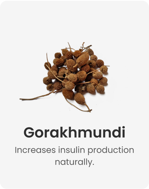 Gorakhmundi_76ebb309-c09f-4aaf-93c4-c0fdd851713a