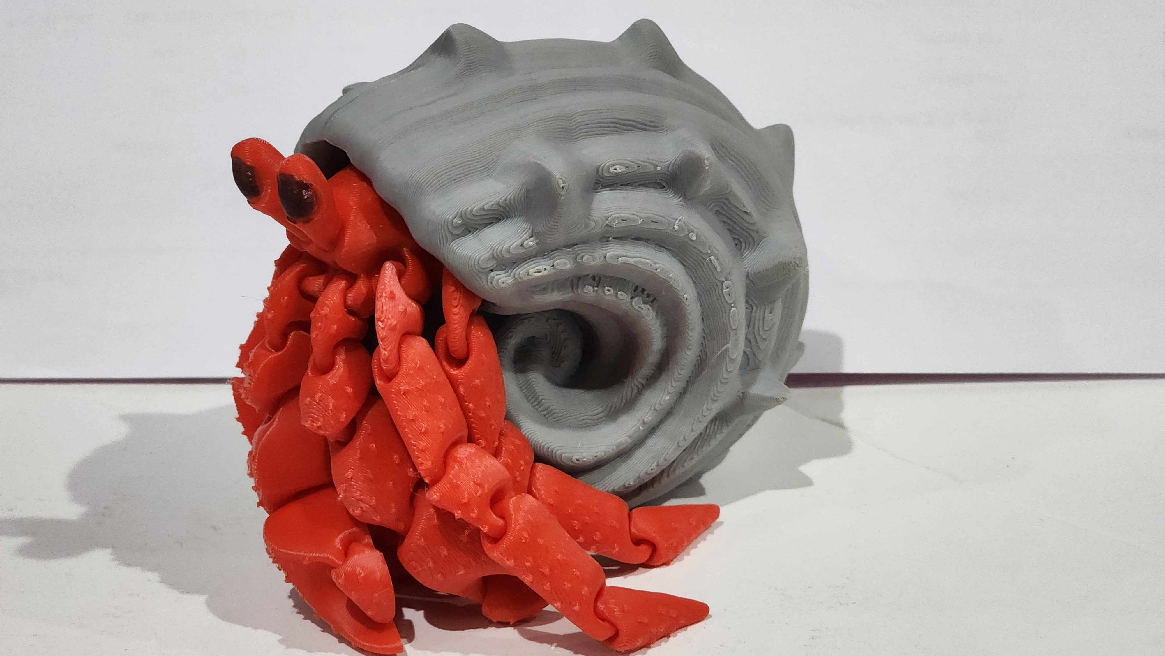 Hermit Crab