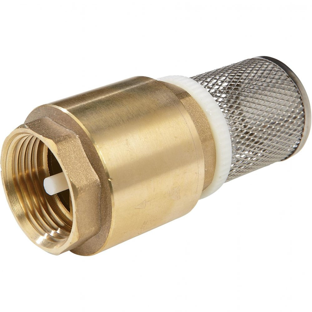 Brass Foot Valve - 1" Pump Inlet with Stainless Steel Strainer and one