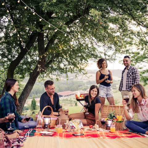 Friends enjoying a fun picnic gathering