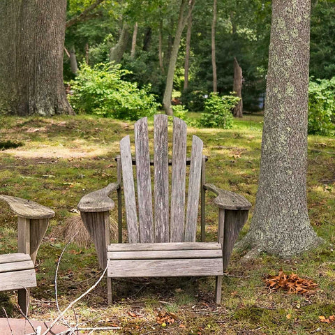 Rotting wooden adirondack chair in the forest
