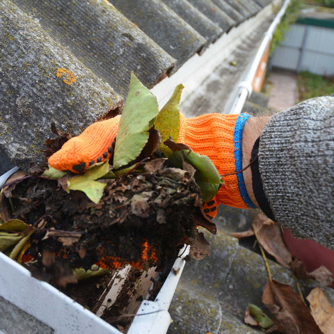 Pulling leaves out of the gutter while spring cleaning