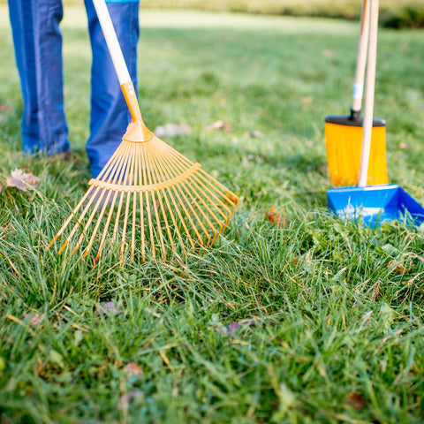Raking the lawn during a spring clean