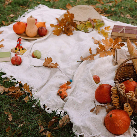 Fall picnic blanket laid out on the lawn