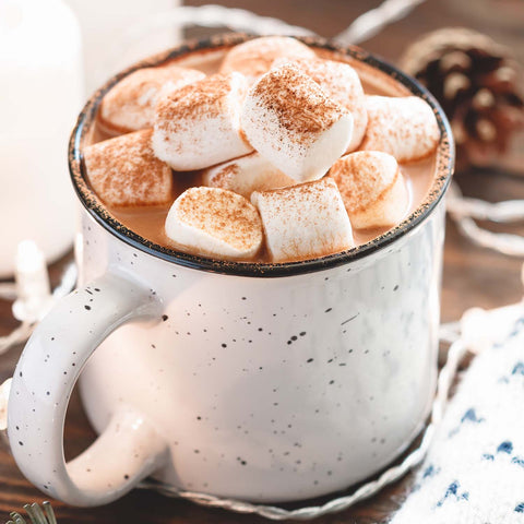 Hot chocolate in a mug with mini marshmallows