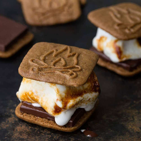 up close shot of smores