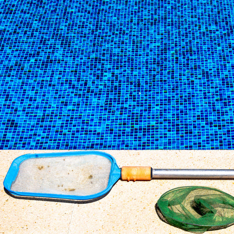pool net lying by the side of the pool