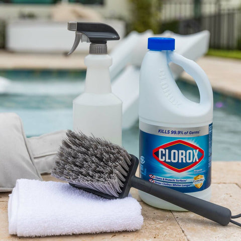 bottle of clorox and other cleaning supplies