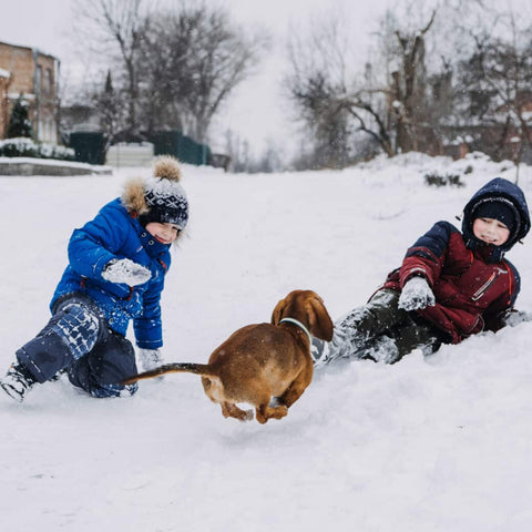 Two children and a dog playing in the snow