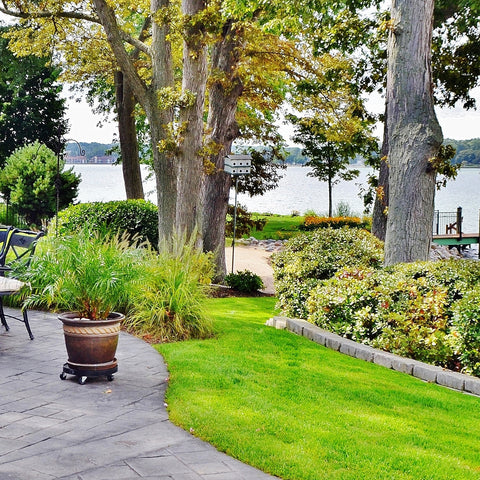 A manicured backyard lawn.