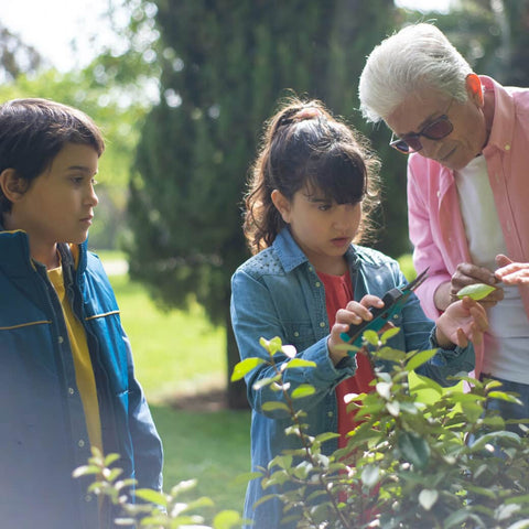 Two children and an adult pruning a plant in the backyard