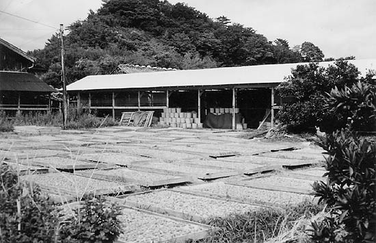 昭和中期頃の土用干し風景