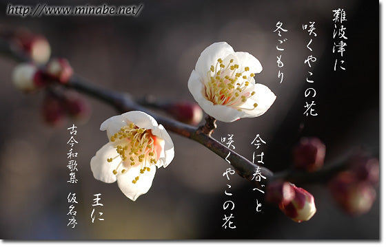 難波津に　咲くやこの花　冬ごもり　今は春べと　咲くやこの花