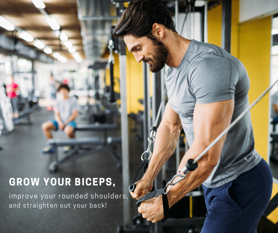 https://cdn.shopify.com/s/files/1/0829/7583/files/Grow-your-biceps-improve-your-rounded-shoulders-and-straighten-out-your-back.png
