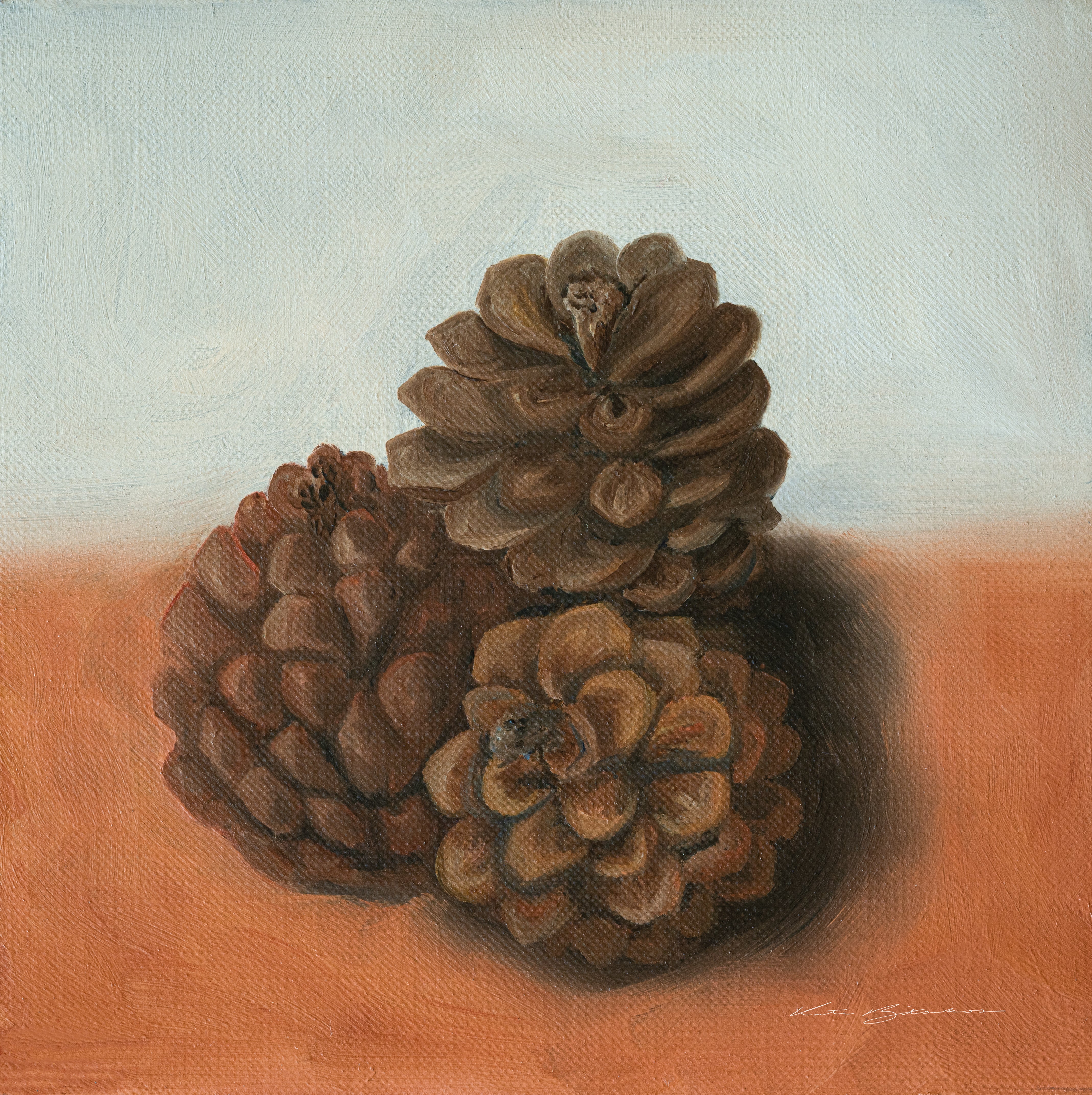 PINE CONES | art print