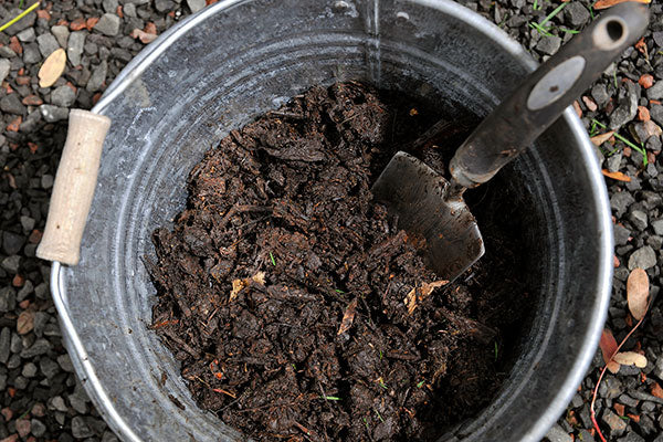 HOTBIN Compost in a Bucket