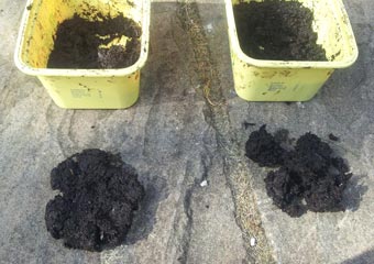 Compost pliability - After drying