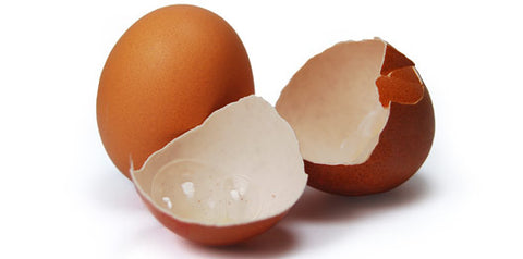 Egg Shell Single