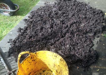 Drying HOTBIN compost