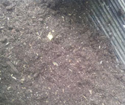 Garden Centre Compost