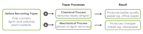 Paper processes