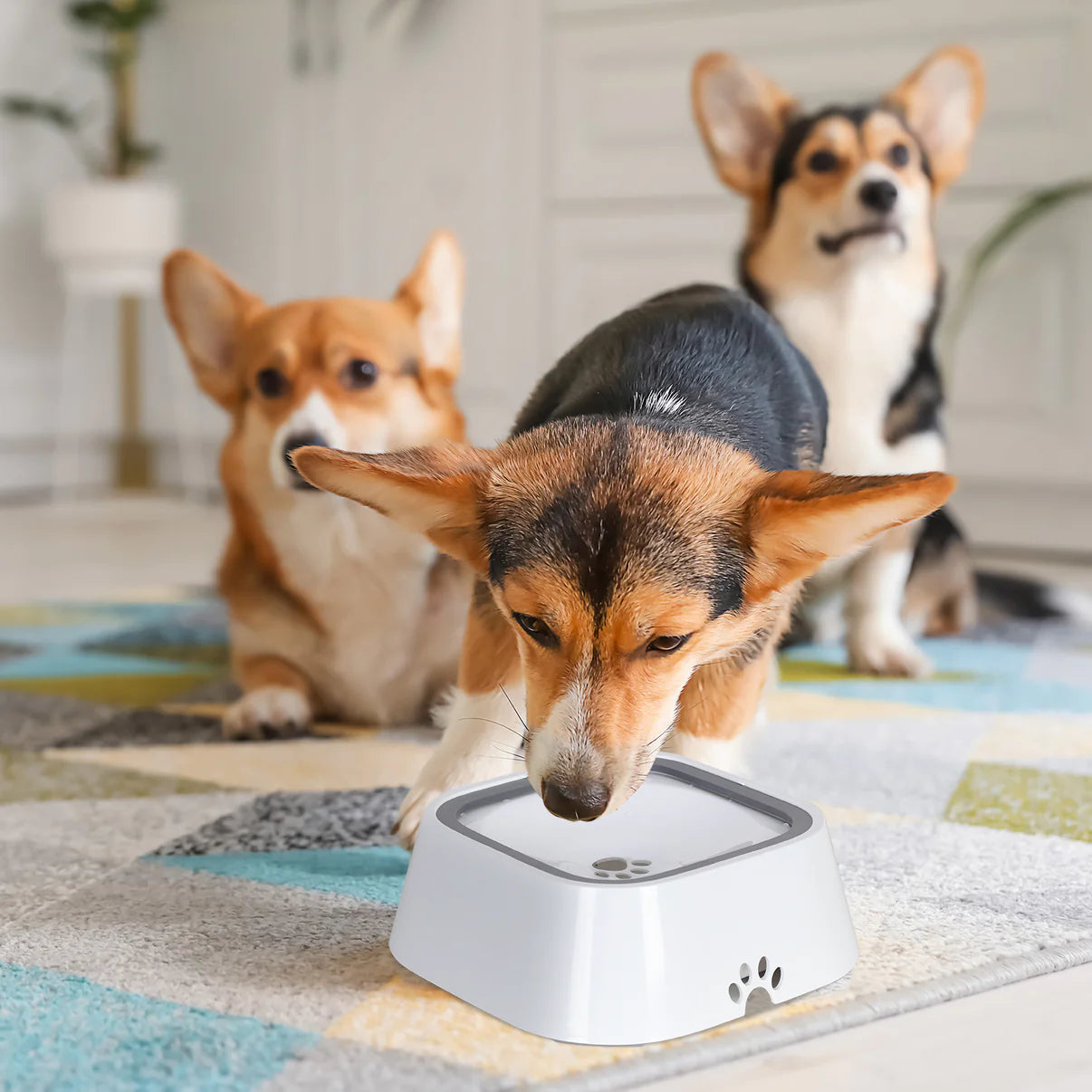 AquaPaws™- Non-Spill Pet Drinking Bowl