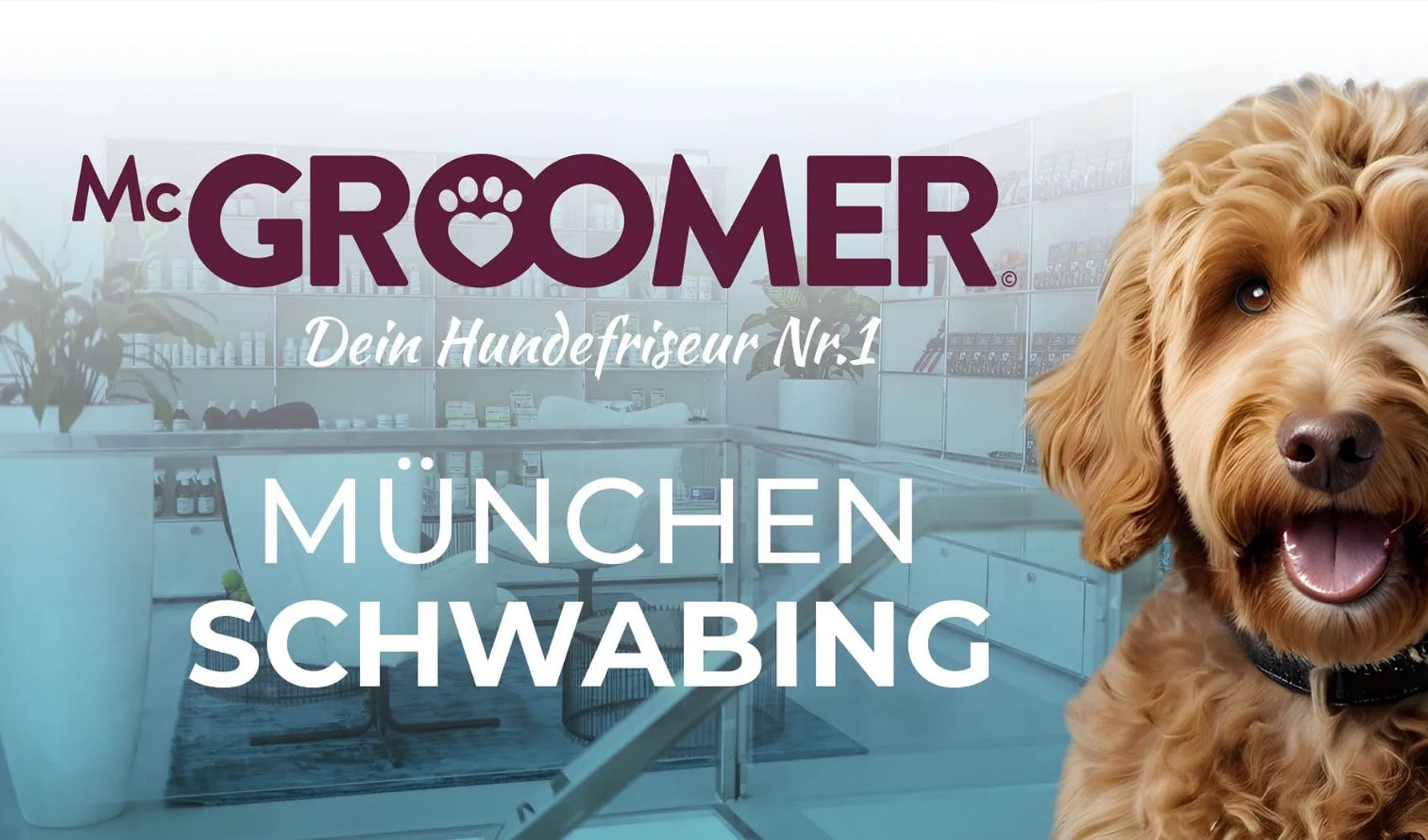 mcgroomer-schwabing-hundefriseure-salon-bild1.jpg__PID:080cbd59-eece-4329-bb7c-42f2f2422eae
