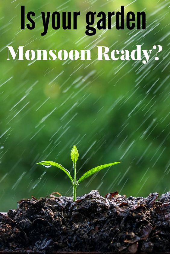 article on monsoon season