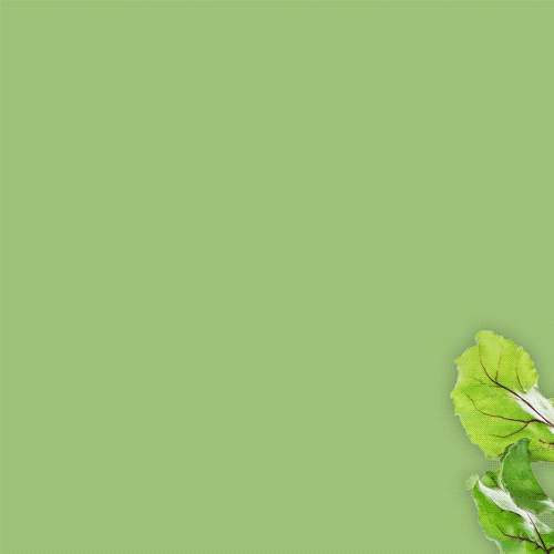 Nước ép củ cải đường xanh lá cây: Hãy cùng thưởng thức một ly nước ép củ cải đường xanh lá cây tươi mát và bổ dưỡng. Với hương vị ngọt ngào, tươi mới của củ cải và màu xanh lá cây tươi mát, đây sẽ là thức uống lý tưởng cho ngày hè nóng bức.