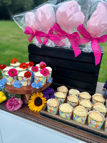 cotton candy cart rental chester county pa